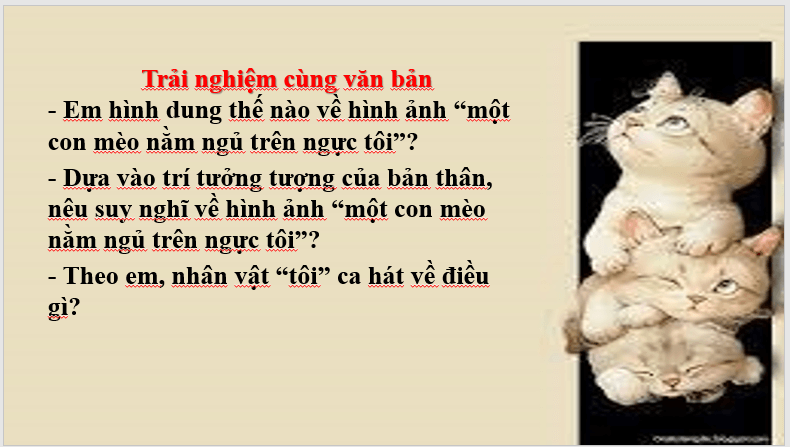 Giáo án điện tử bài Một con mèo nằm ngủ trên ngực tôi | PPT Văn 7 Chân trời sáng tạo