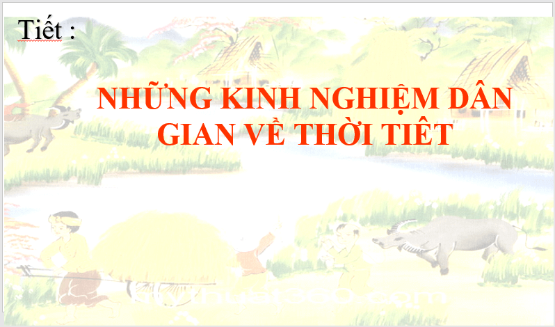 Giáo án điện tử bài Những kinh nghiệm dân gian về thời tiết | PPT Văn 7 Chân trời sáng tạo