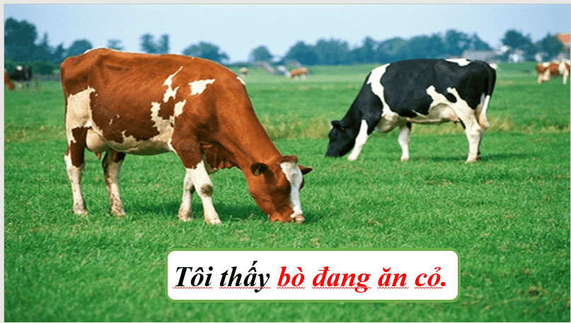 Giáo án điện tử bài Thực hành tiếng Việt trang 90 | PPT Văn 7 Cánh diều