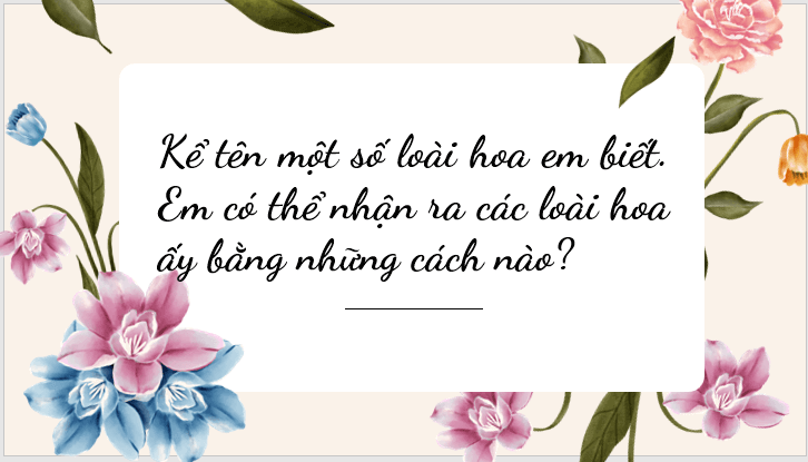 Giáo án điện tử bài Vừa nhắm mắt vừa mở cửa sổ | PPT Văn 7 Kết nối tri thức