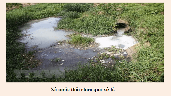Giáo án điện tử bài Diễn từ ứng khẩu của thủ lĩnh da đỏ Xi-át-tơn | PPT Văn 8 Kết nối tri thức