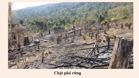 Giáo án điện tử bài Diễn từ ứng khẩu của thủ lĩnh da đỏ Xi-át-tơn | PPT Văn 8 Kết nối tri thức