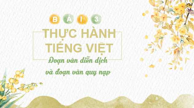 Giáo án điện tử bài Thực hành tiếng Việt trang 64 | PPT Văn 8 Kết nối tri thức