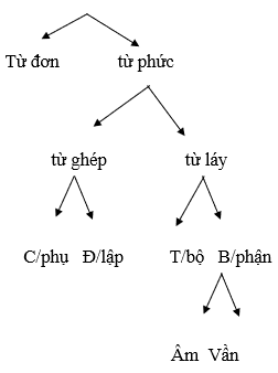 Giáo án bài Tổng kết về từ vựng (Tiết 2) | Giáo án Ngữ văn lớp 9 chuẩn nhất, mới nhất