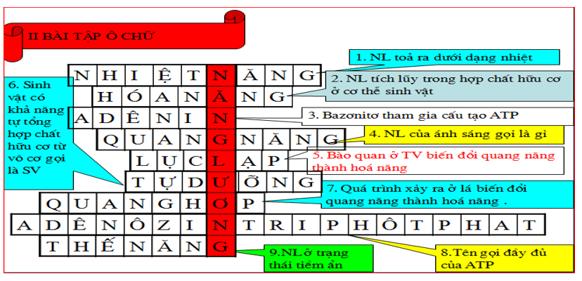 Giáo án Sinh học 10 Bài 13: Khái quát về năng lượng và chuyển hóa vật chất | Giáo án Sinh học 10 mới, chuẩn nhất