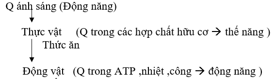 Giáo án Sinh học 10 Bài 14: Enzim và vai trò của enzim trong quá trình chuyển hóa vật chất | Giáo án Sinh học 10 mới, chuẩn nhất