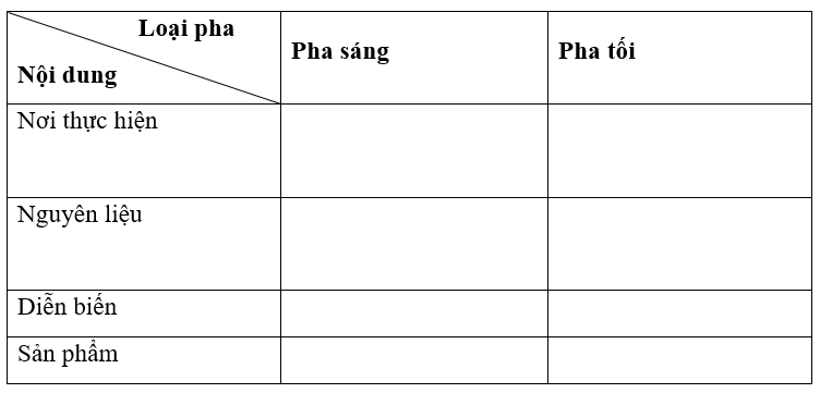 Giáo án Sinh học 10 Bài 17: Quang hợp | Giáo án Sinh học 10 mới, chuẩn nhất