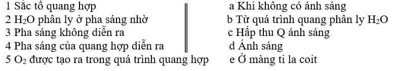 Giáo án Sinh học 10 Bài 17: Quang hợp | Giáo án Sinh học 10 mới, chuẩn nhất