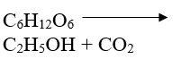 (KHBD) Giáo án Sinh học 10 Bài 23, 24 (mới, chuẩn nhất)