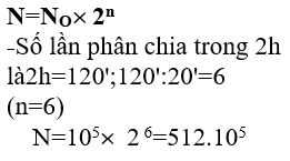 Giáo án Sinh học 10 Bài 25, 26: Sinh trưởng, Sinh sản của vi sinh vật | Giáo án Sinh học 10 mới, chuẩn nhất