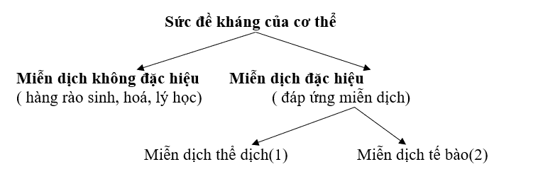 Giáo án Sinh học 10 Bài 33: Ôn tập phần sinh học vi sinh vật | Giáo án Sinh học 10 mới, chuẩn nhất