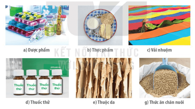 Giáo án Chuyên đề Sinh học 10 Kết nối tri thức Bài 5: Khái quát về công nghệ enzyme