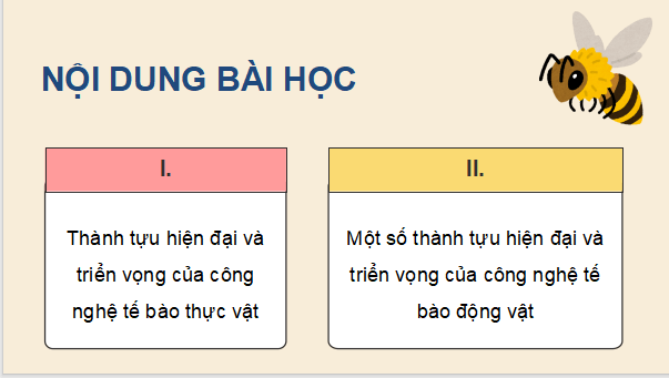 Giáo án điện tử Chuyên đề Sinh học 10 Cánh diều (hay nhất) | Bài giảng powerpoint (PPT) Chuyên đề Sinh 10