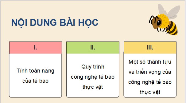 Giáo án điện tử Chuyên đề Sinh học 10 Kết nối tri thức (hay nhất) | Bài giảng powerpoint (PPT) Chuyên đề Sinh 10