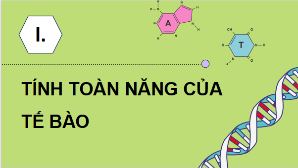Giáo án điện tử Chuyên đề Sinh học 10 Kết nối tri thức (hay nhất) | Bài giảng powerpoint (PPT) Chuyên đề Sinh 10