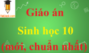 Giáo án Sinh học lớp 10 mới nhất | Giáo án Sinh học 10 chuẩn nhất