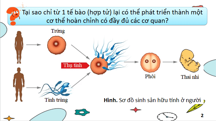 Giáo án điện tử Chuyên đề Sinh 10 Chân trời sáng tạo Bài 1: Khái quát về công nghệ tế bào | PPT Chuyên đề Sinh học 10