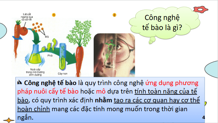 Giáo án điện tử Chuyên đề Sinh 10 Chân trời sáng tạo Bài 1: Khái quát về công nghệ tế bào | PPT Chuyên đề Sinh học 10