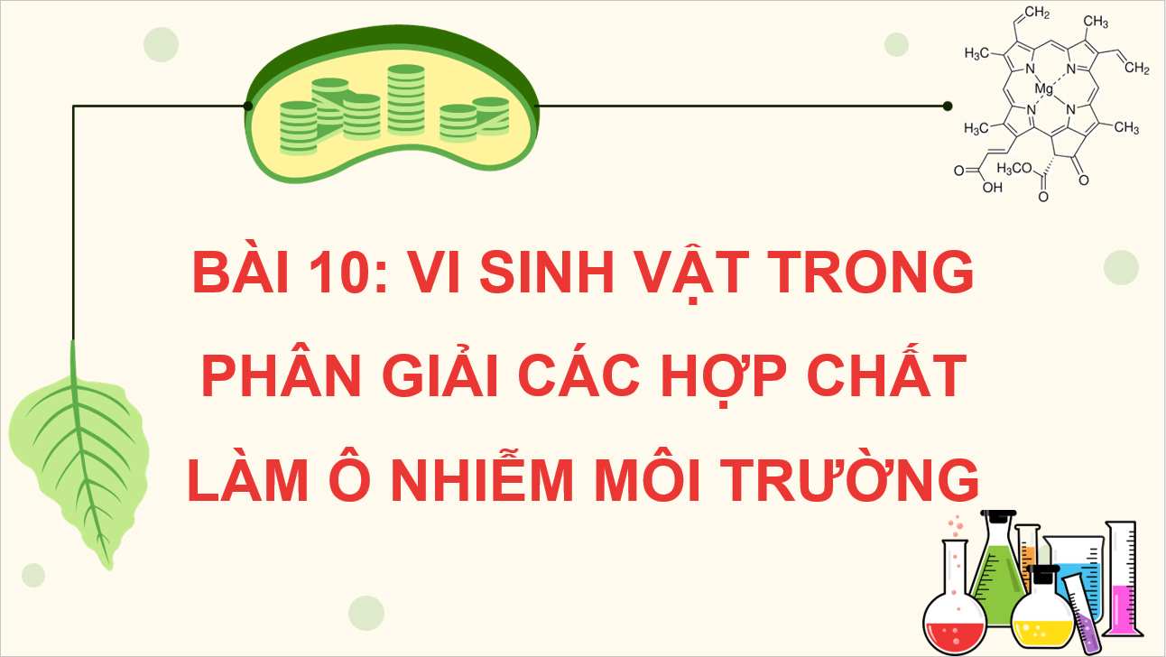 Giáo án điện tử Chuyên đề Sinh 10 Kết nối tri thức Giáo án điện tử Bài 10: Vi sinh vật trong phân giải các hợp chất làm ô nhiễm môi trường | PPT Chuyên đề Sinh học 10