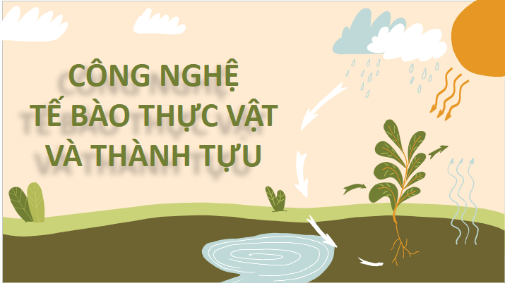 Giáo án điện tử Chuyên đề Sinh 10 Chân trời sáng tạo Bài 2: Công nghệ tế bào thực vật và thành tựu | PPT Chuyên đề Sinh học 10