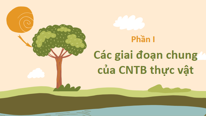Giáo án điện tử Chuyên đề Sinh 10 Chân trời sáng tạo Bài 2: Công nghệ tế bào thực vật và thành tựu | PPT Chuyên đề Sinh học 10