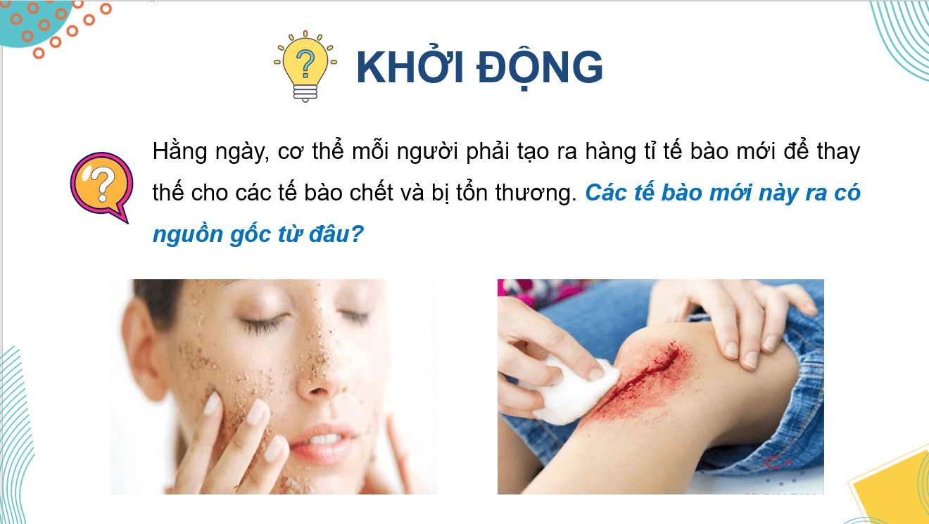 Giáo án điện tử Chuyên đề Sinh 10 Kết nối tri thức Giáo án điện tử Bài 2: Tế bào gốc và một số thành tựu | PPT Chuyên đề Sinh học 10