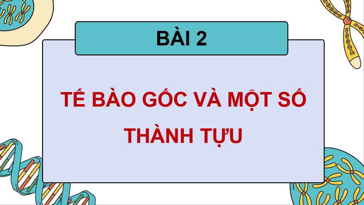 Giáo án điện tử Chuyên đề Sinh 10 Kết nối tri thức Giáo án điện tử Bài 2: Tế bào gốc và một số thành tựu | PPT Chuyên đề Sinh học 10