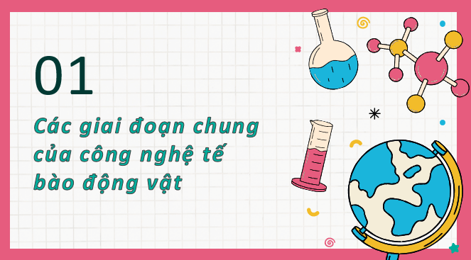 Giáo án điện tử Chuyên đề Sinh 10 Chân trời sáng tạo Bài 3: Công nghệ tế bào động vật và thành tựu | PPT Chuyên đề Sinh học 10