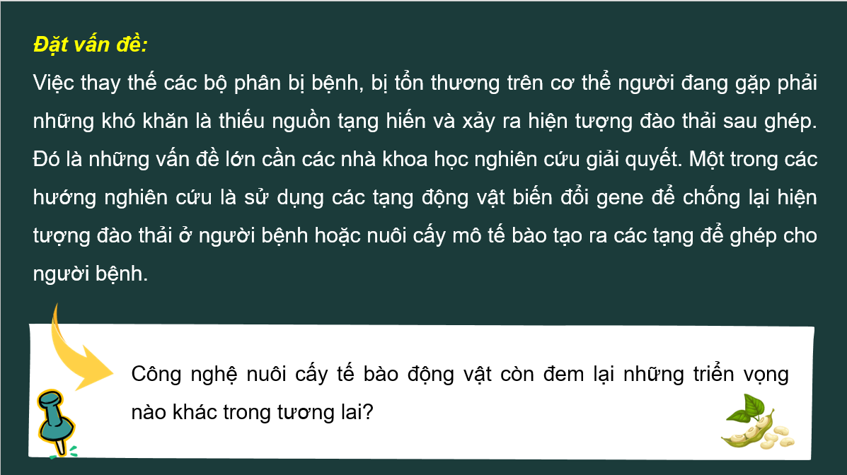 Giáo án điện tử Chuyên đề Sinh 10 Kết nối tri thức Giáo án điện tử Bài 3: Công nghệ tế bào động vật và thành tựu | PPT Chuyên đề Sinh học 10
