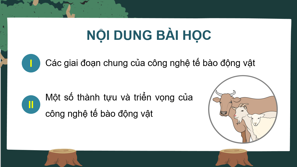 Giáo án điện tử Chuyên đề Sinh 10 Kết nối tri thức Giáo án điện tử Bài 3: Công nghệ tế bào động vật và thành tựu | PPT Chuyên đề Sinh học 10