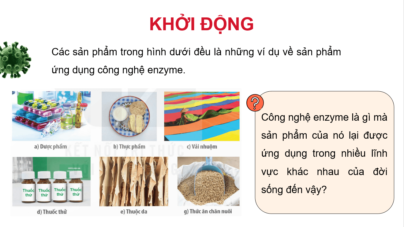 Giáo án điện tử Chuyên đề Sinh 10 Kết nối tri thức Giáo án điện tử Bài 5: Khái quát về công nghệ enzyme | PPT Chuyên đề Sinh học 10