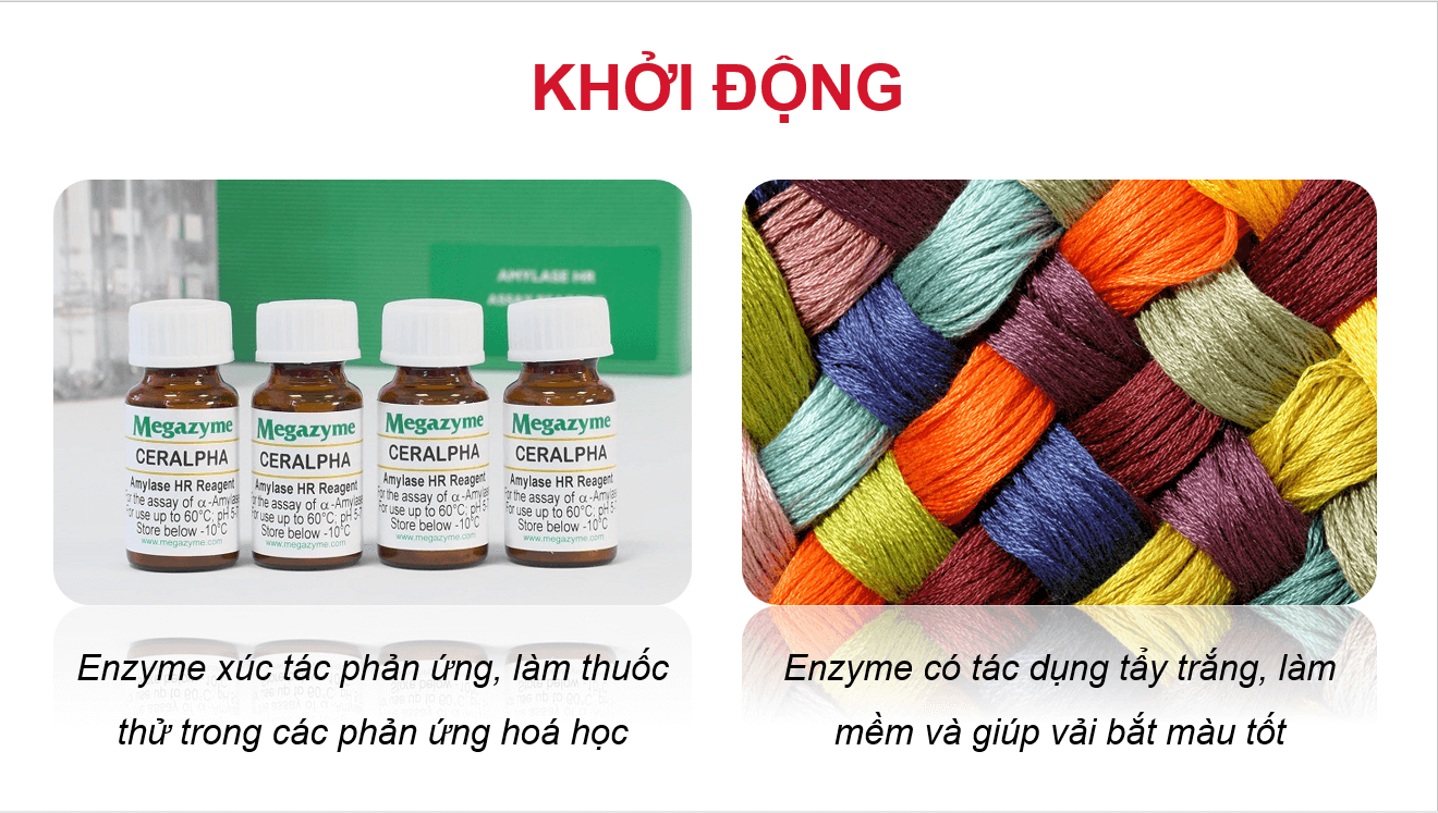 Giáo án điện tử Chuyên đề Sinh 10 Kết nối tri thức Giáo án điện tử Bài 5: Khái quát về công nghệ enzyme | PPT Chuyên đề Sinh học 10