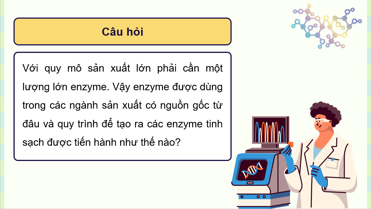 Giáo án điện tử Chuyên đề Sinh 10 Kết nối tri thức Giáo án điện tử Bài 6: Quy trình công nghệ sản xuất enzyme | PPT Chuyên đề Sinh học 10