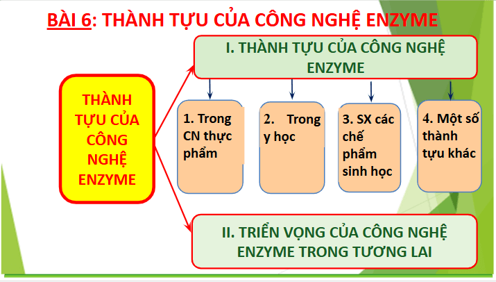 Giáo án điện tử Chuyên đề Sinh 10 Chân trời sáng tạo Bài 6: Thành tựu của công nghệ enzyme | PPT Chuyên đề Sinh học 10
