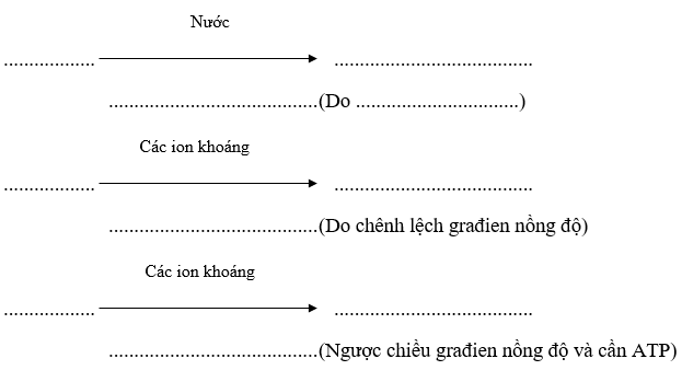 Giáo án Sinh học 11 Bài 1: Sự hấp thụ nước và muối khoáng ở rễ | Giáo án Sinh học 11 mới, chuẩn nhất