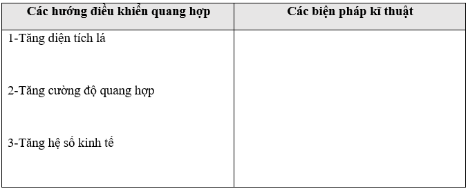 Giáo án Sinh học 11 Bài 11: Quang hợp và năng suất cây trồng | Giáo án Sinh học 11 mới, chuẩn nhất