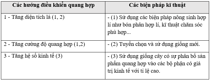 Giáo án Sinh học 11 Bài 11: Quang hợp và năng suất cây trồng | Giáo án Sinh học 11 mới, chuẩn nhất