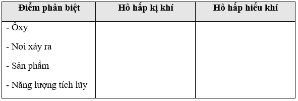 Giáo án Sinh học 11 Bài 12: Hô hấp ở thực vậ | Giáo án Sinh học 11 mới, chuẩn nhất