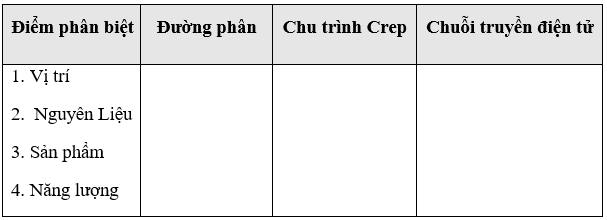 Giáo án Sinh học 11 Bài 12: Hô hấp ở thực vậ | Giáo án Sinh học 11 mới, chuẩn nhất