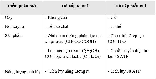 Giáo án Sinh học 11 Bài 12: Hô hấp ở thực vậ | Giáo án Sinh học 11 mới, chuẩn nhất