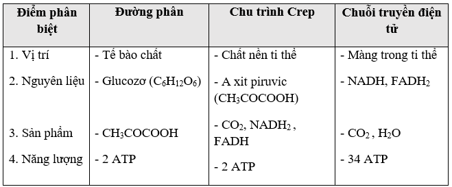 Giáo án Sinh học 11 Bài 12: Hô hấp ở thực vậ | Giáo án Sinh học 11 mới, chuẩn nhất