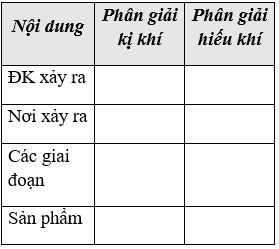 Giáo án Sinh học 11 Bài 12: Hô hấp ở thực vậ | Giáo án Sinh học 11 mới, chuẩn nhất