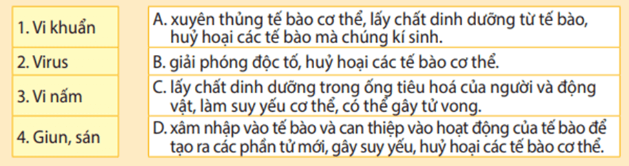 Giáo án Sinh học 11 Kết nối tri thức Bài 12: Miễn dịch ở người và động vật