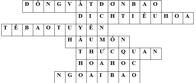 Giáo án Sinh học 11 Bài 15: Tiêu hóa ở động vật | Giáo án Sinh học 11 mới, chuẩn nhất