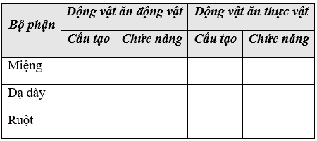 Giáo án Sinh học 11 Bài 16: Tiêu hóa ở động vật (tiếp theo) | Giáo án Sinh học 11 mới, chuẩn nhất