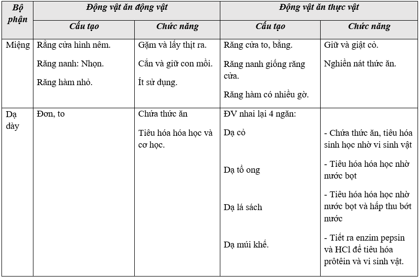 Giáo án Sinh học 11 Bài 16: Tiêu hóa ở động vật (tiếp theo) | Giáo án Sinh học 11 mới, chuẩn nhất