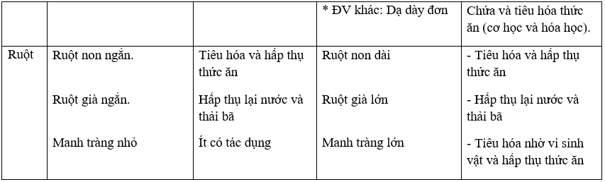 Giáo án Sinh học 11 Bài 16: Tiêu hóa ở động vật (tiếp theo) | Giáo án Sinh học 11 mới, chuẩn nhất