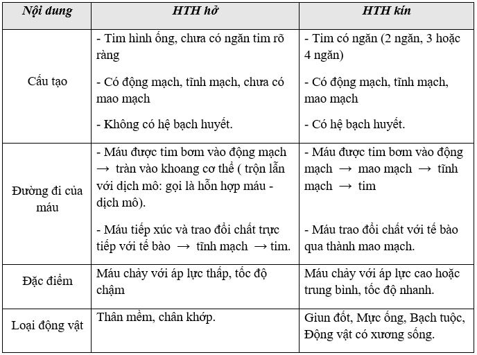 Giáo án Sinh học 11 Bài 18: Tuần hoàn máu | Giáo án Sinh học 11 mới, chuẩn nhất