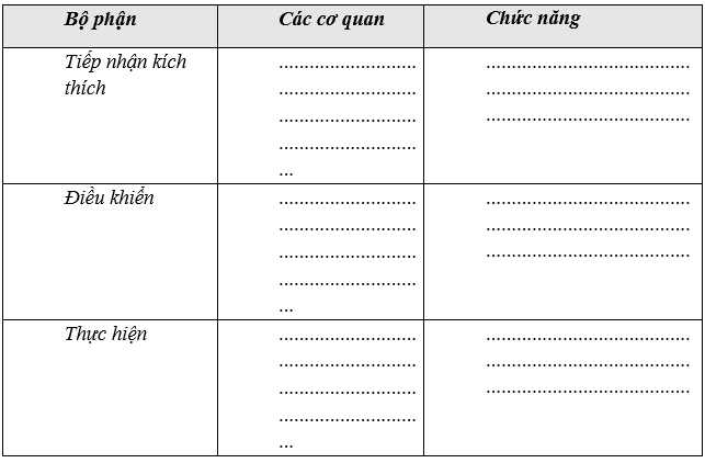 Giáo án Sinh học 11 Bài 20: Cân bằng nội môi | Giáo án Sinh học 11 mới, chuẩn nhất