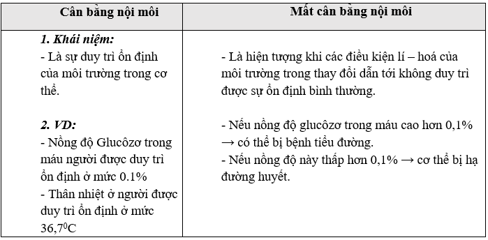 Giáo án Sinh học 11 Bài 20: Cân bằng nội môi | Giáo án Sinh học 11 mới, chuẩn nhất